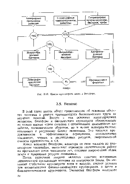 Циклы круговорота азота в биосфере.