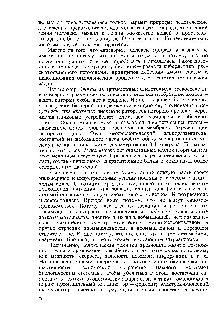 Многое из того, что «натворил» человек, природа и вправду не имеет, но не потому, что не могла создать, а потому, что не посчитала нужным, или же попробовала и отказалась. Такое представление входит в парадигму бионики — раздела кибернетики, рассматривающего применение принципов действия живых систем и использования биологических процессов для решения технических задач.