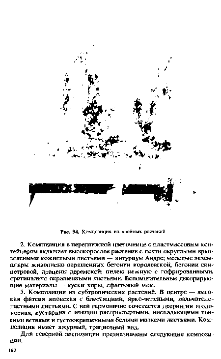 Композиция из хвойных растений