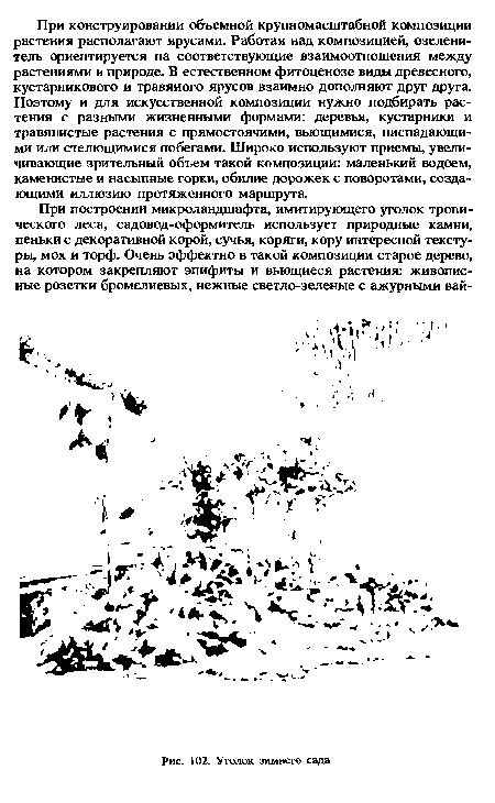 Уголок зимнего сада