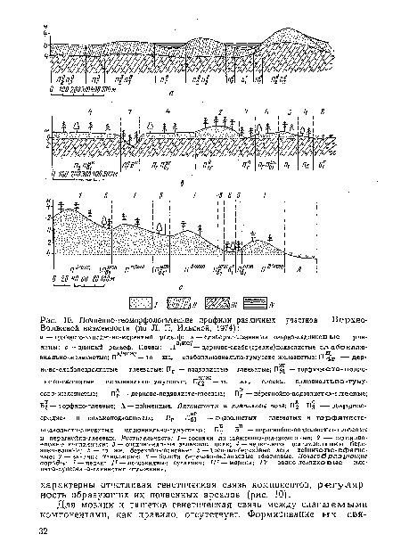 Почвенно-геоморфологические профили различных участков Верхне-Волжской низменности (по Л. П. Ильиной, 1974)