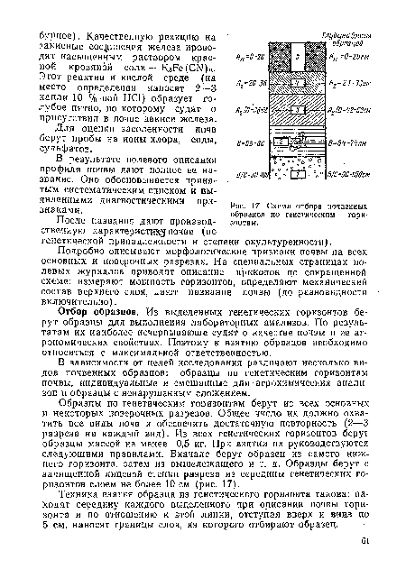 Схема отбора почвенных образцов по генетическим горизонтам.