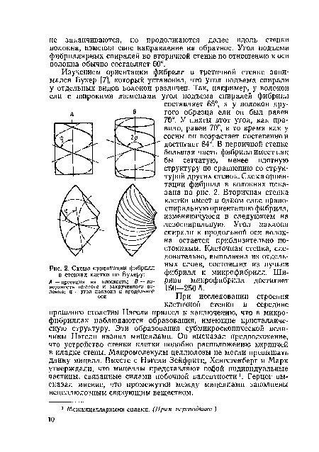 Схема ориентации фибрилл