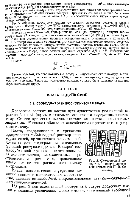 Древесина состоит из клеток преимущественно удлиненной веретенообразной формы с плотными стенками и внутренними полостями. Стенки древесных клеток состоят из частиц, называемых мицеллами. Мицеллы обладают способностью притягивать и удерживать воду.