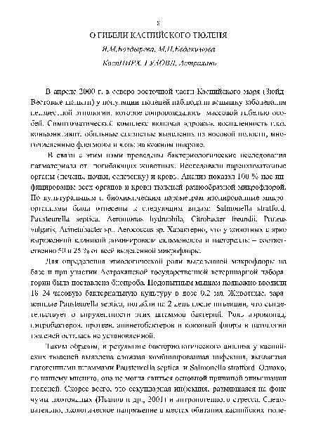 Для определения этиологической роли выделенной микрофлоры на базе и при участии Астраханской государственной ветеринарной лаборатории была поставлена биопроба. Подопытным мышам подкожно вводили 18-24-часовую бактериальную культуру в дозе 0,2 мл. Животные, зараженные Pausteurella septica, погибли на 2 день после инъекции, что свидетельствует о вирулентности этих штаммов бактерий. Роль аэромонад, цитробактеров, протеев, ацинетобактеров и кокковой флоры в патологии тюленей осталась не установленной.