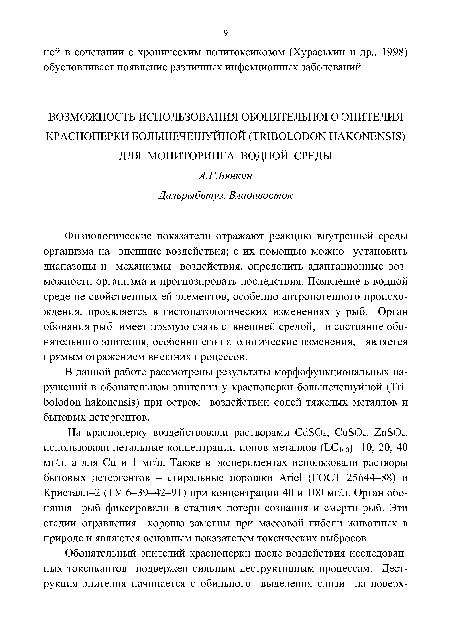 В данной работе рассмотрены результаты морфофункциональных нарушений в обонятельном эпителии у красноперки болыпечешуйной (Tri-bolodon hakonensis) при остром воздействии солей тяжелых металлов и бытовых детергентов.