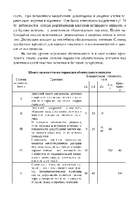 На основе уровня поражения обонятельного эпителия можно предложить шкалу оценки степени поражения обонятельного эпителия под действием солей тяжелых металлов и бытовых детергентов.