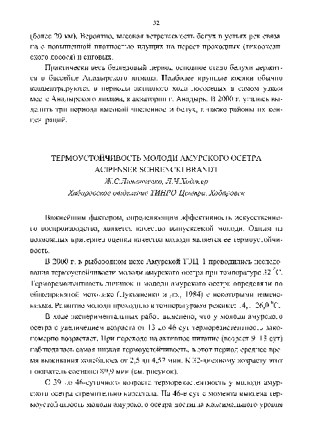 В 2000 г. в рыбоводном цехе Амурской ТЭЦ-1 проводились исследования термоустойчивости молоди амурского осетра при температуре 32 °С. Терморезистентность личинок и молоди амурского осетра определяли по общепринятой методике (Лукьяненко и др., 1984) с некоторыми изменениями. Развитие молоди проходило в температурном режиме: 14,1-26,0 °С.