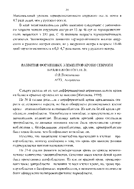 На 36-й стадии развития в периферической крови предличинок севрюги естественного нереста, не было обнаружено родоначальных клеток крови - гемогистобластов и гемоцитобластов. Из клеток белой крови преобладали лимфобласты. Миелобласты и монобласты присутствовали в незначительном количестве. Половину клеток красной крови составляли эритробласты, оставшаяся половина клеток была представлена пронор-мобластами и базофильными нормобластами, причем, пронормобластов было вдвое больше, чем базофильных нормобластов.