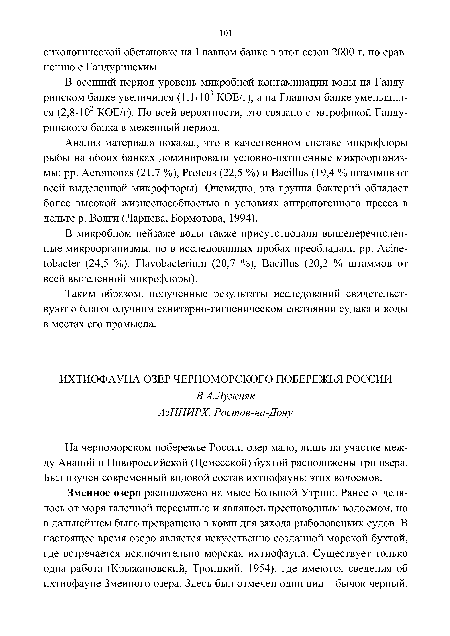 Анализ материала показал, что в качественном составе микрофлоры рыбы на обоих банках доминировали условно-патогенные микроорганизмы: pp. Aeromonas (21,7 %), Proteus (22,5 %) и Bacillus (19,4 % штаммов от всей выделенной микрофлоры). Очевидно, эта группа бактерий обладает более высокой жизнеспособностью в условиях антропогенного пресса в дельте р. Волги (Ларцева, Бормотова, 1994).