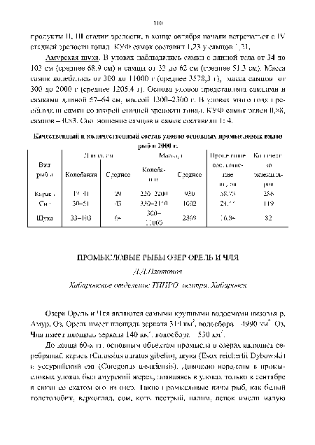 Амурская щука. В уловах наблюдались самки с длиной тела от 34 до 103 см (среднее 68,9 см) и самцы от 33 до 62 см (среднее 51,3 см). Масса самок колебалась от 300 до 11000 г (среднее 3578,3 г), масса самцов от 300 до 2000 г (среднее 1205,4 г). Основа уловов представлена самцами и самками длиной 57-64 см, массой 1300-2300 г. В уловах этого года преобладали самки со второй стадией зрелости гонад. КУФ самок равен 0,88, самцов - 0,83. Соотношение самцов и самок составило 1: 4.