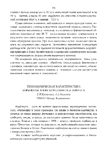 Существенные изменения наблюдаются в микроструктуре ткани, которые определяют степень размягчения мышечной ткани осьминога. Гис-тологические исследования показали, что в процессе ферментативной обработки конечностей при 40 °С коллагеновые волокна сокращаются, в результате чего связь между мышечными пучками нарушается и между ними образуются пустоты. При этом мышечные пучки несколько сжимаются, но сохраняют свое строение. Дальнейшее повышение температуры раствора или увеличение продолжительности ферментативного воздействия приводит к более значительному сокращению коллагенового волокна, что сопровождается разрыхлением мышечного волокна.