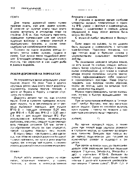 Если ловят на воблер, то он должен быть идущим у поверхности, с частыми колебаниями. Практика показала, что при теплой воде и большая кумжа с удовольствием схватывает маленький воблер.