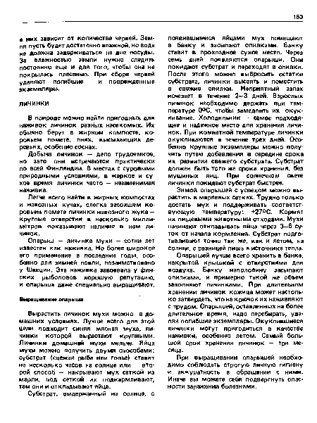 Опарыш — личинка мухи — сотни лет известен как наживка. Но более широкое его применение в последние годы, особенно для зимней ловли, позаимствовано у Швеции. Эта наживка завоевала у финских рыболовов хорошую репутацию, и опарыша даже специально выращивают.