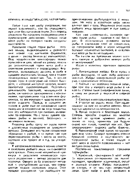 Разделка рыбы сразу же после ловли и достаточное охлаждение ее замедляют автолиз. Замедляет его также осторожное обращение с рыбой, в то время как при перекладывании рыбы с места на место, щупании или тряске ее и т.д. он ускоряется.