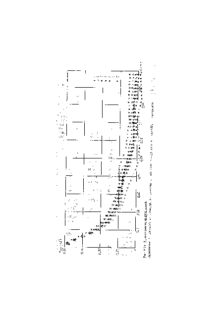 Автокорреляция пульсаций.