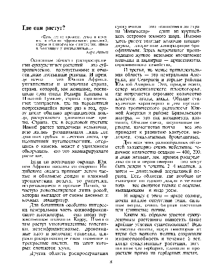 И наряду с этим — яркое солнце, почти полное отсутствие тени, сильные ветры, очень бедные песчаные или глинистые почвы.