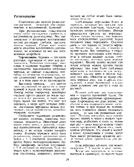 Листовой черенок — это просто лист, отделенный от растения и посаженный в песок под углом около 45°. Иногда листья (например, некоторых очитков) просто падают на землю около маточного растения, и через некоторое время мы видим, что лист дал корешки, а вверх идут молодые побеги. Листовыми черенками можно размножать также пахифитумы, каланхоэ, эчеверии, гастерии.