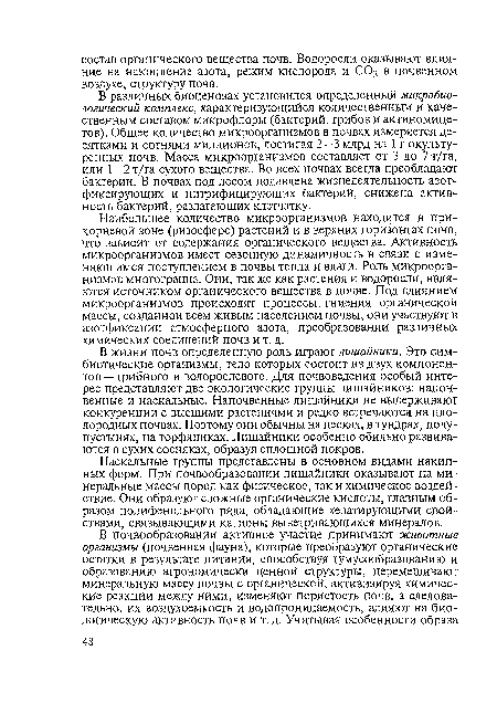 Наибольшее количество микроорганизмов находится в прикорневой зоне (ризосфере) растений и в верхних горизонтах почв, что зависит от содержания органического вещества. Активность микроорганизмов имеет сезонную динамичность в связи с изменяющимся поступлением в почвы тепла и влаги. Роль микроорганизмов многогранна. Они, так же как растения и водоросли, являются источником органического вещества в почве. Под влиянием микроорганизмов происходят процессы гниения органической массы, созданной всем живым населением почвы, они участвуют в азотфиксации атмосферного азота, преобразовании различных химических соединений почв и т. д.