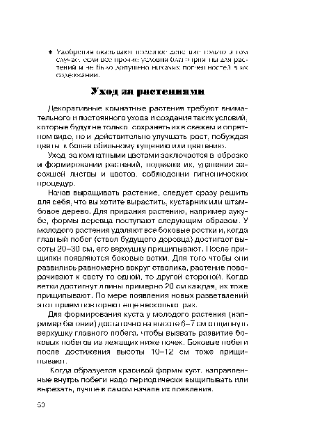 Для формирования куста у молодого растения (например бегонии) достаточно на высоте 6-7 см отщипнуть верхушку главного побега, чтобы вызвать развитие боковых побегов из лежащих ниже почек. Боковые побеги после достижения высоты 10-12 см тоже прищипывают.