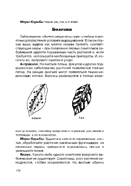 Заболевание обычно свидетельствует о неблагоприятных для растений условиях выращивания. В таком случае ваша задача как можно скорее принять соответствующие меры - при появлении первых симптомов заболевания удалите пораженную часть растения и, если требуется, используйте необходимые препараты. И, конечно же, исправьте ошибки в уходе.