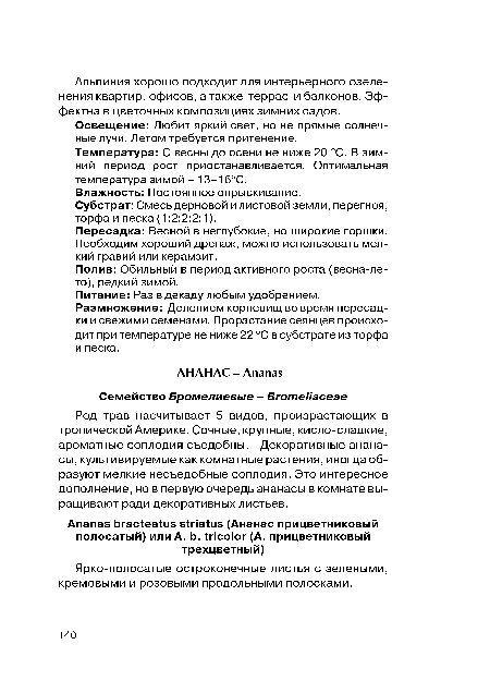 Род трав насчитывает 5 видов, произрастающих в тропической Америке. Сочные, крупные, кисло-сладкие, ароматные соплодия съедобны. Декоративные ананасы, культивируемые как комнатные растения, иногда образуют мелкие несъедобные соплодия. Это интересное дополнение, но в первую очередь ананасы в комнате выращивают ради декоративных листьев.