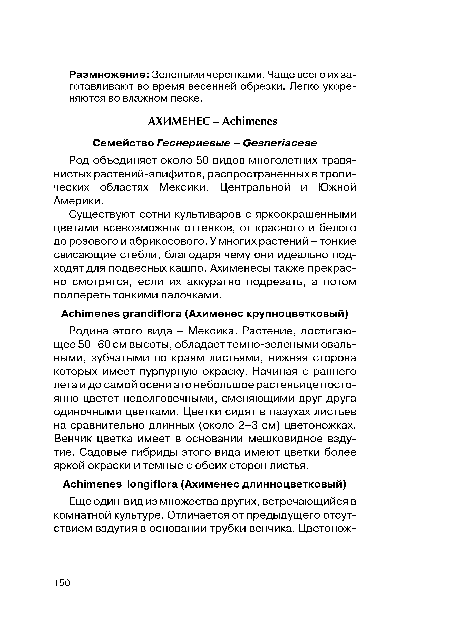 Существуют сотни культиваров с яркоокрашенными цветами всевозможньк оттенков, от красного и белого до розового и абрикосового. У многих растений - тонкие свисающие стебли, благодаря чему они идеально подходят для подвесных кашпо. Ахименесы также прекрасно смотрятся, если их аккуратно подрезать, а потом подпереть тонкими палочками.