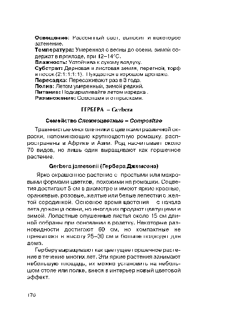 Герберу выращивают как цветущее горшечное растение в течение многих лет. Эти яркие растения занимают небольшую площадь, их можно установить на небольшом столе или полке, внеся в интерьер новый цветовой эффект.