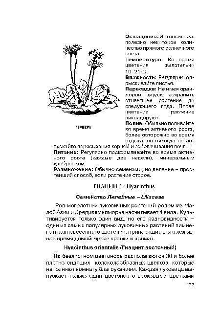 Полив: Обильно поливайте во время активного роста, более осторожно во время отдыха, но никогда не допускайте пересыхания корней и заболачивания почвы. Питание: Регулярно подкармливайте во время активного роста (каждые две недели), минеральным удобрением.