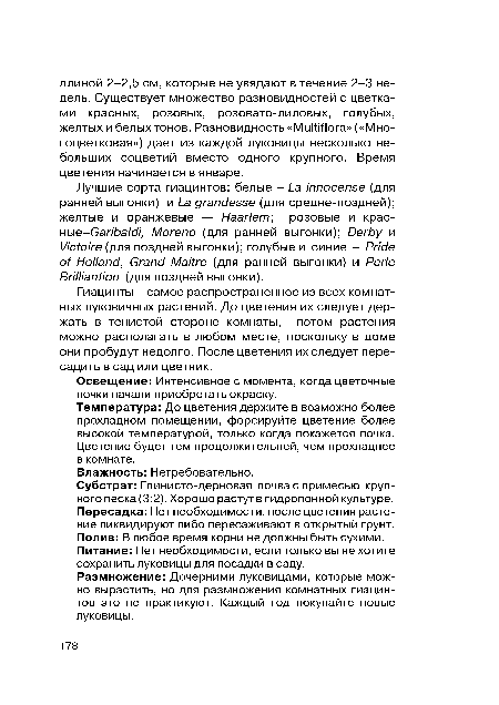 Субстрат: Глинисто-дерновая почва с примесью крупного песка (3:2). Хорошо растут в гидропонной культуре. Пересадка: Нет необходимости, после цветения растение ликвидируют либо пересаживают в открытый грунт. Полив: В любое время корни не должны быть сухими. Питание: Нет необходимости, если только вы не хотите сохранить луковицы для посадки в саду.