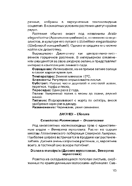 Род многолетних насекомоядных трав с единственным видом - Венерина мухоловка. Растет по сырым местам Атлантического побережья Северной Америки. Наиболее широко встречается в продаже как растение-забава. Дионея очень капризное растение, и, вероятнее всего, в гостиной оно вскоре погибнет.