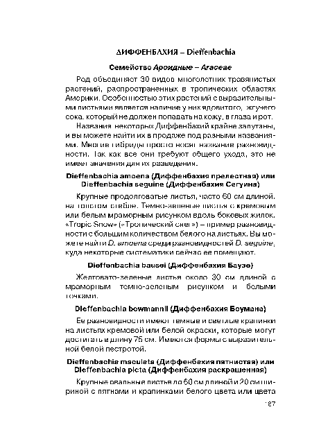 Род объединяет 30 видов многолетних травянистых растений, распространенных в тропических областях Америки. Особенностью этих растений с выразительными листьями является наличие у них ядовитого, жгучего сока, который не должен попадать на кожу, в глаза и рот.