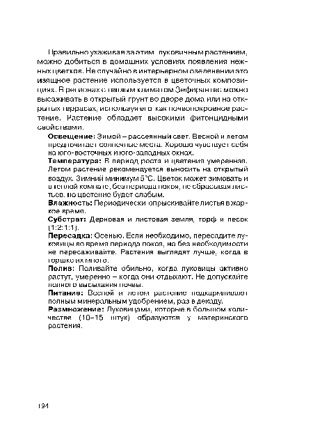 Полив: Поливайте обильно, когда луковицы активно растут, умеренно - когда они отдыхают. Не допускайте полного высыхания почвы.