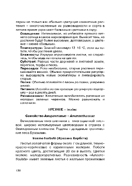 Вечнозеленые многолетники с многоцветной листвой, широко используемые цветоводами в странах с безморозным климатом. Родина - дождевые тропические леса Бразилии.