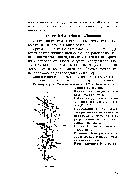 Полив: Обильный, зимой -умеренный.