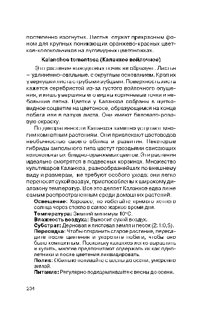 Питание: Регулярно подкармливайте с весны до осени.