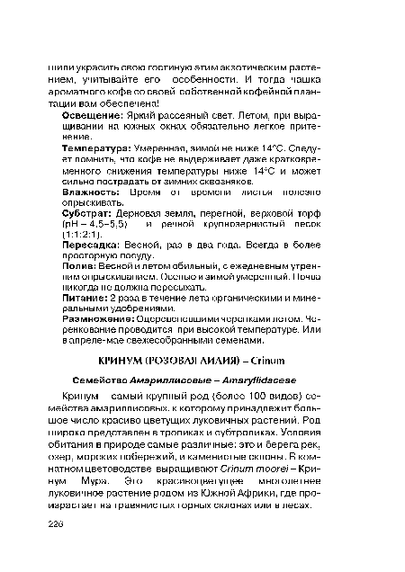 Температура: Умеренная, зимой не ниже 14°С. Следует помнить, что кофе не выдерживает даже кратковременного снижения температуры ниже 14°С и может сильно пострадать от зимних сквозняков.