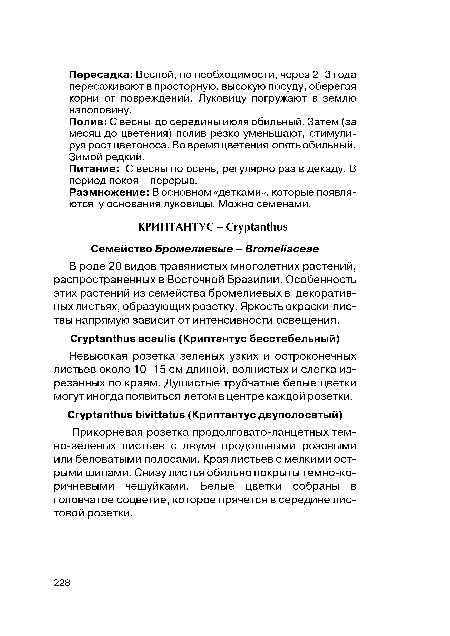 Питание: С весны по осень, регулярно раз в декаду. В период покоя - перерыв.