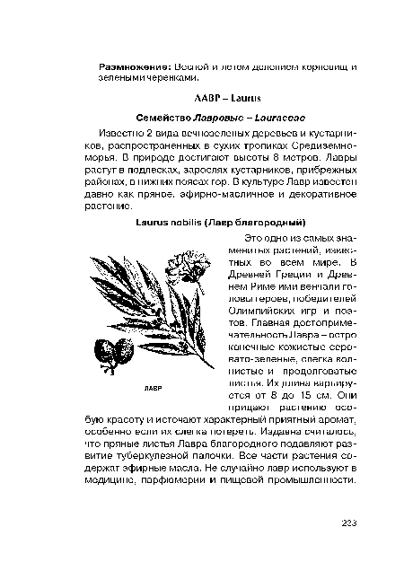 Известно 2 вида вечнозеленых деревьев и кустарников, распространенных в сухих тропиках Средиземноморья. В природе достигают высоты 8 метров. Лавры растут в подлесках, зарослях кустарников, прибрежных районах, в нижних поясах гор. В культуре Лавр известен давно как пряное, эфирно-масличное и декоративное растение.