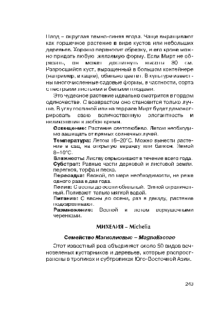 Это чудесное растение идеально смотрится в гордом одиночестве. С возврастом оно становится только лучше. В углу гостиной или на террасе Мирт будет демонстрировать свою величественную элегантность и великолепие в любое время.