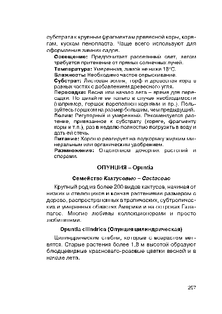 Крупный род из более 200 видов кактусов, начиная от низких и стелющихся и кончая растениями размером с дерево, распространенных в тропических, субтропических и умеренных областях Америки и на островах Галапагос. Многие любимы коллекционерами и просто любителями.