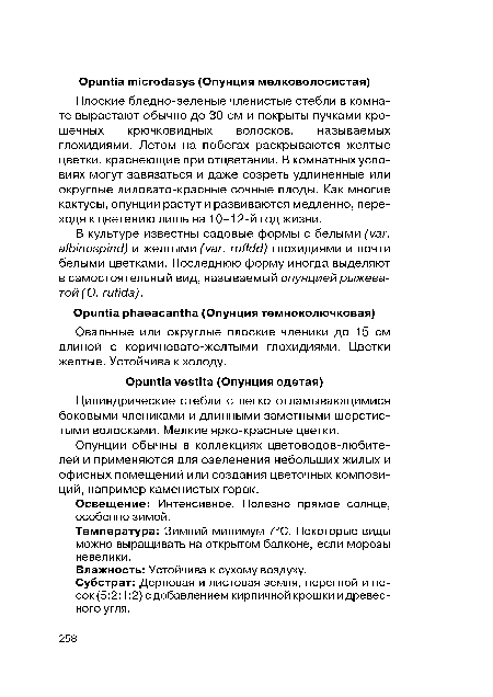 Температура: Зимний минимум 7°С. Некоторые виды можно выращивать на открытом балконе, если морозы невелики.