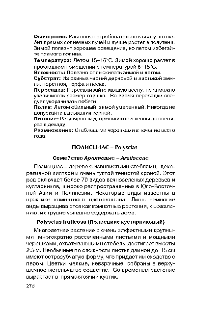 Полив: Летом обильный, зимой умеренный. Никогда не допускайте высыхания корней.