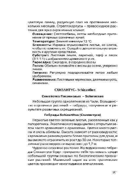 Размножение: Листовыми черенками, делением куста, семенами.