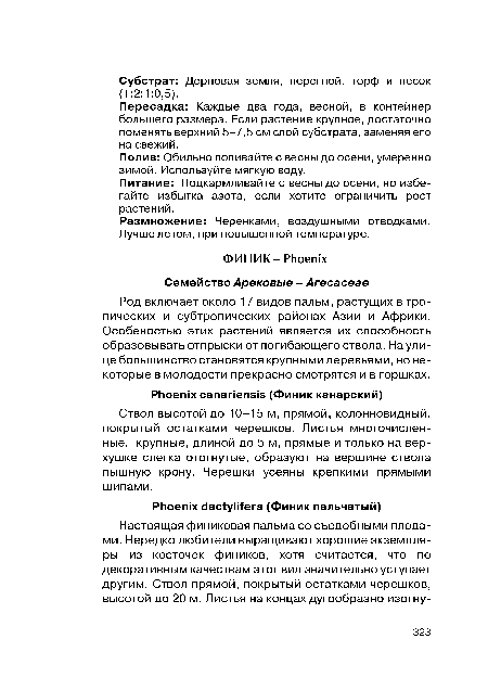 Ствол высотой до 10-15 м, прямой, колонновидный, покрытый остатками черешков. Листья многочисленные, крупные, длиной до 5 м, прямые и только на верхушке слегка отогнутые, образуют на вершине ствола пышную крону. Черешки усеяны крепкими прямыми шипами.