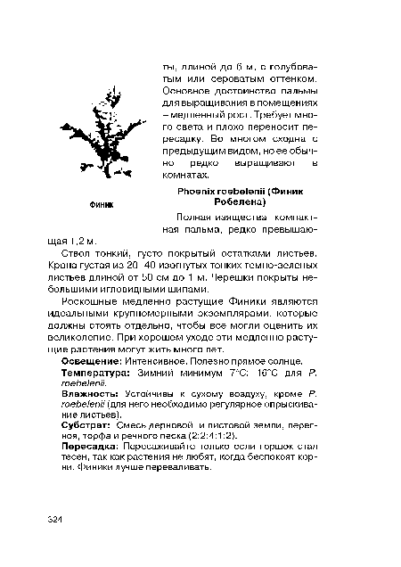 Влажность: Устойчивы к сухому воздуху, кроме Р. roebelenii (для него необходимо регулярное опрыскивание листьев).