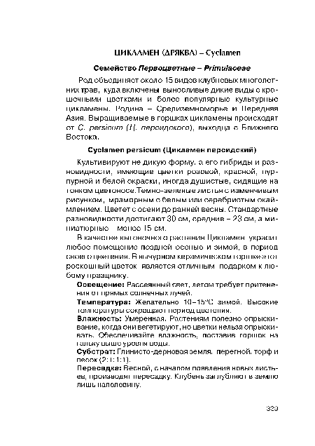 Род объединяет около 15 видов клубневых многолетних трав, куда включены выносливые дикие виды с крошечными цветками и более популярные культурные цикламены. Родина - Средиземноморье и Передняя Азия. Выращиваемые в горшках цикламены происходят от С. persicum (Ц. персидского), выходца с Ближнего Востока.