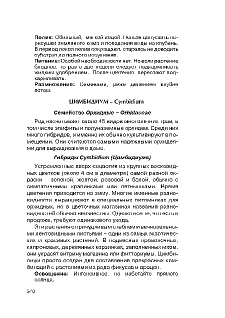 Питание: Особой необходимости нет. Но если растение бледное, то раз в две недели следует подкармливать жидким удобрением. После цветения перестают подкармливать.