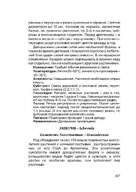 Влажность: Повышенная. Растения необходимо опрыс кивать.