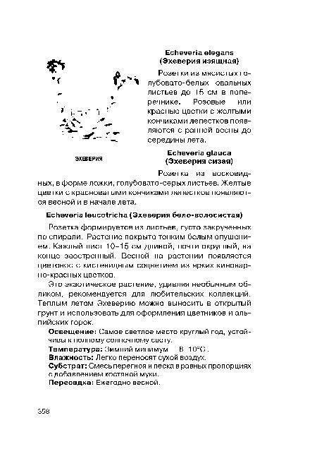 Освещение: Самое светлое место круглый год, устойчивы к полному солнечному свету.